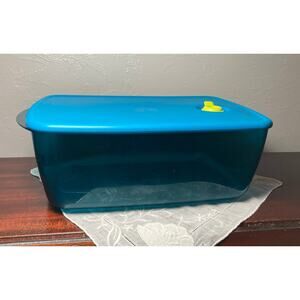 Tupperware Teal green 3380B container with lid